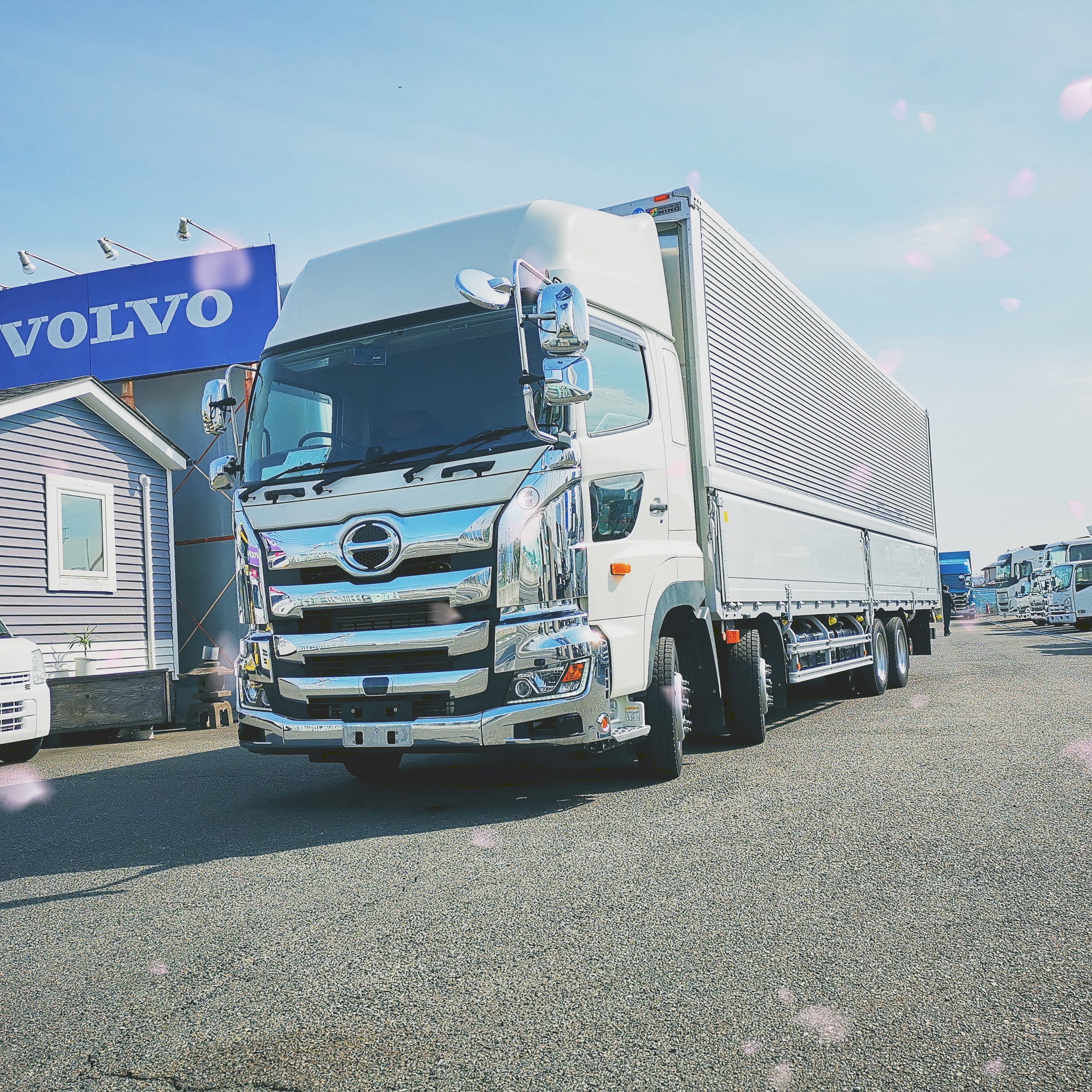 IMG_20220311_130011_Wondershar